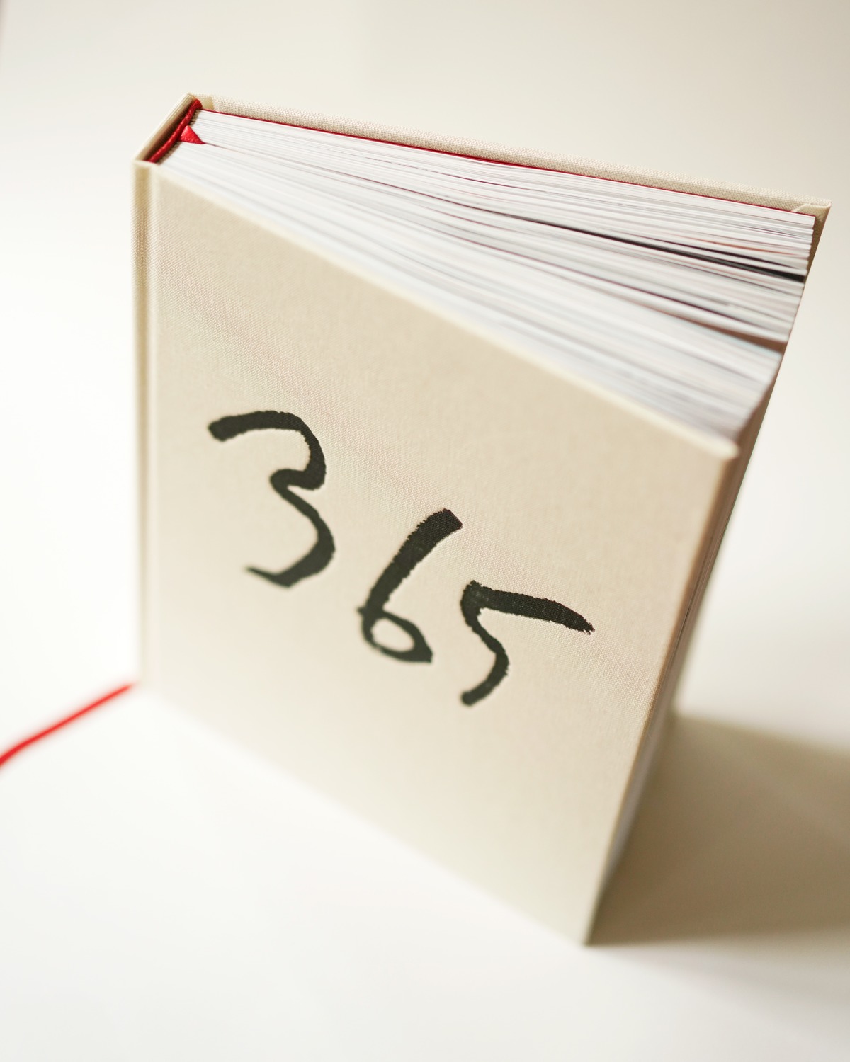 Photographie issue de Amazones n'existent pas